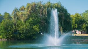 Scenic Pond